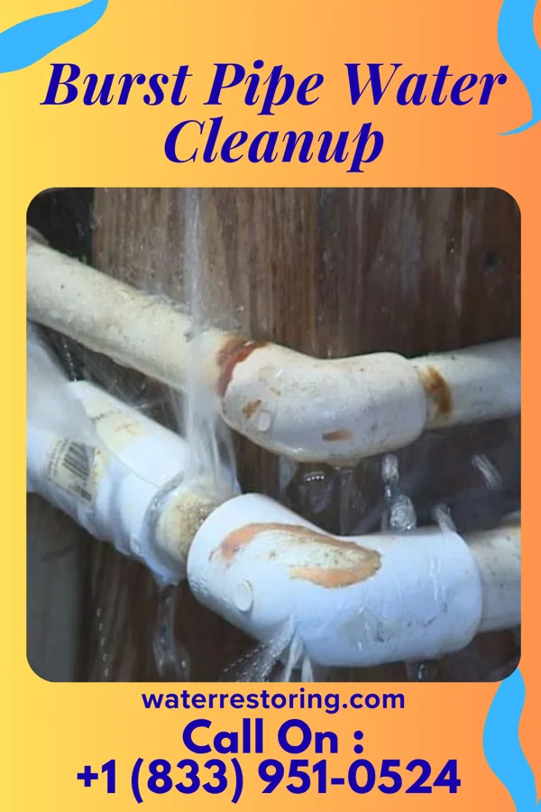 Burst Pipe Water Cleanup in Fairmont, NC