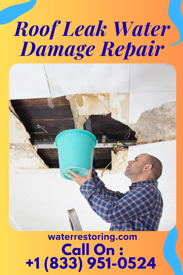 Roof Leak Water Damage Repair in Fairmont, NC