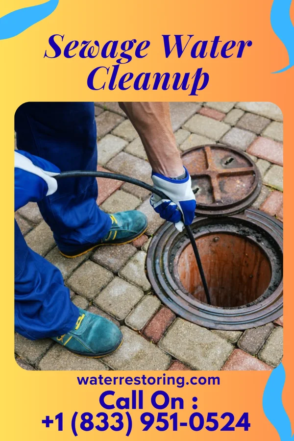 Sewage Water Cleanup in Fairmont, NC
